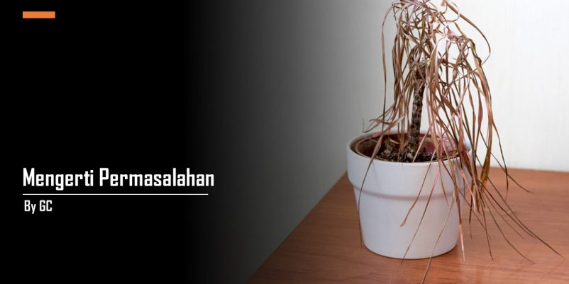 MENGERTI PERMASALAHAN MENGERTI PERMASALAHAN