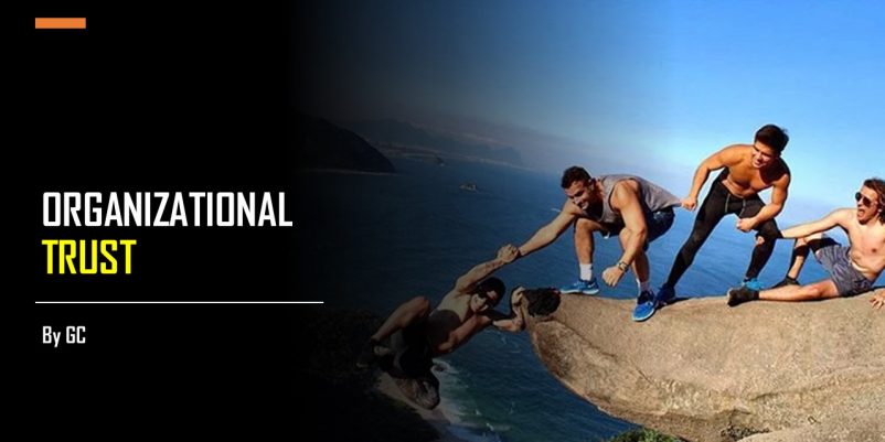 ORGANIZATIONAL TRUST ORGANIZATIONAL TRUST