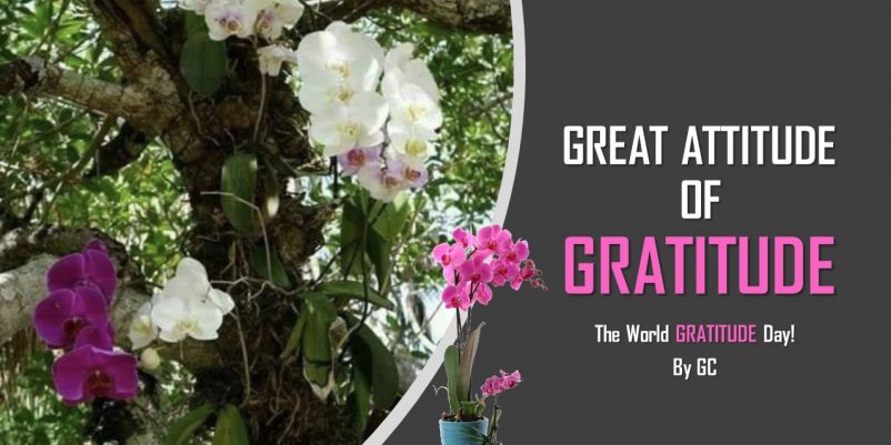 GREAT ATTITUDE OF GRATITUDE World Gratitude Day! GREAT ATTITUDE OF GRATITUDE World Gratitude Day!