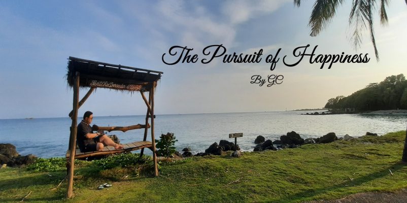 The Pursuit of Happiness