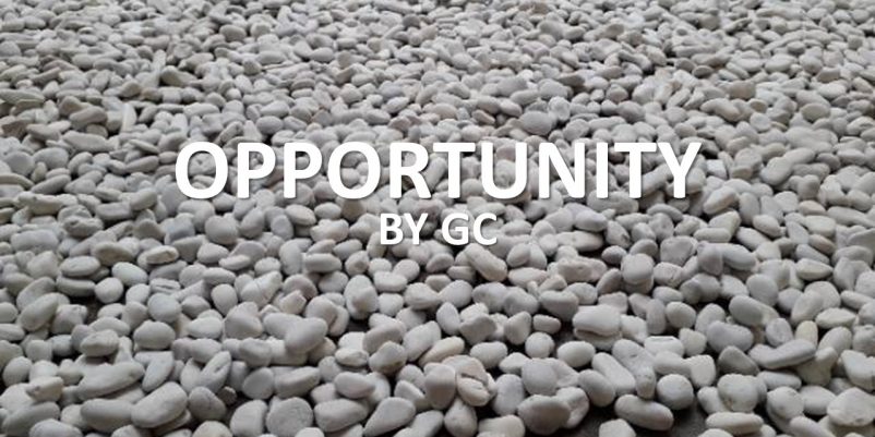 OPPORTUNITY OPPORTUNITY