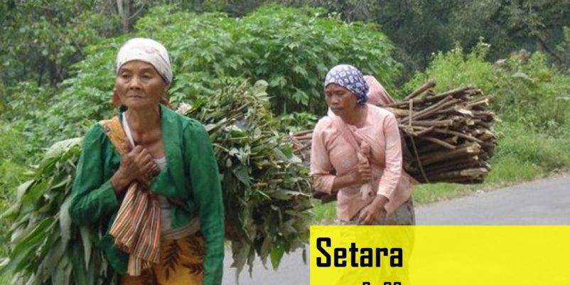 SETARA