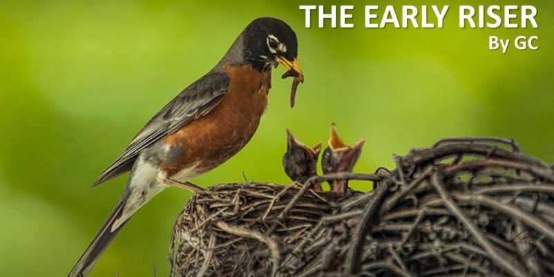 THE EARLY RISER THE EARLY RISER