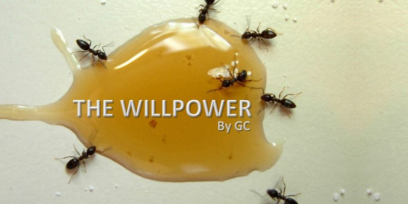 Will Power