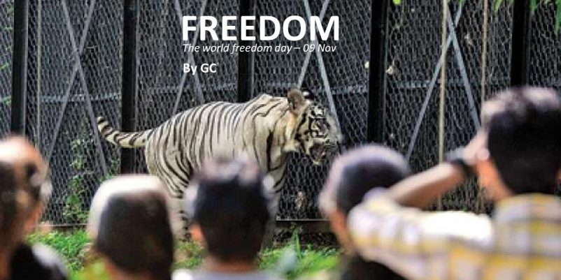 FREEDOM-The World Freedom Day FREEDOM-The World Freedom Day